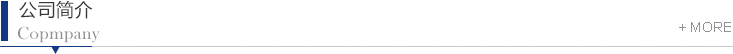 公司簡介
